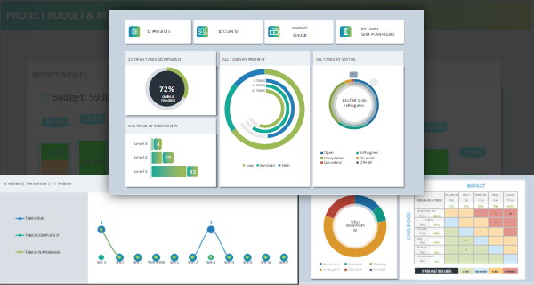 PPM Executive Dashboard