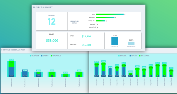 PPM Portfolio Dashboard